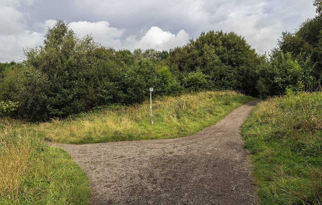 Amberswood Local Nature Reserve
