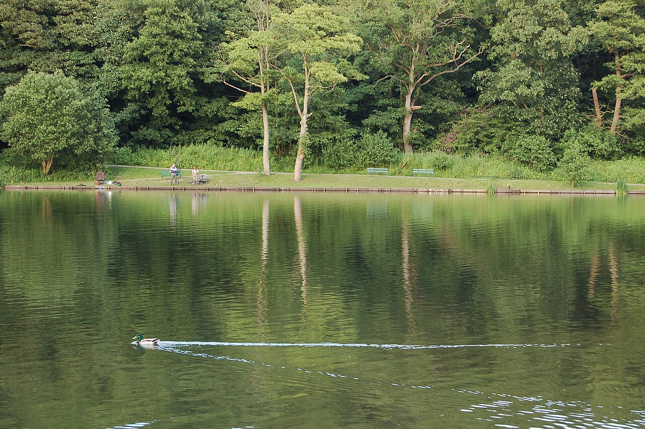 Yarrow Valley Country Park