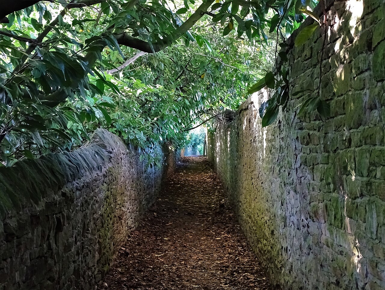 Whinfell Quarry Gardens