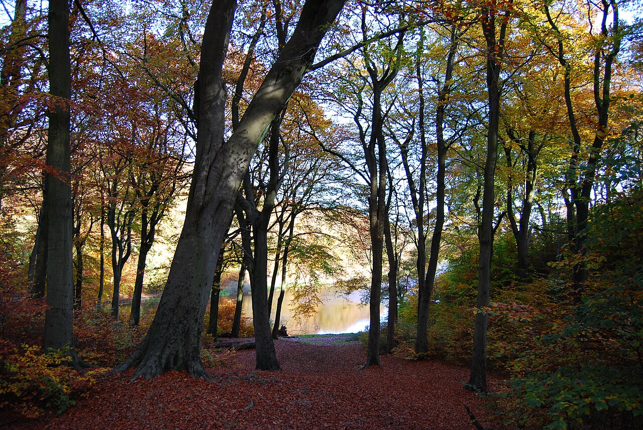 Chellow Dene