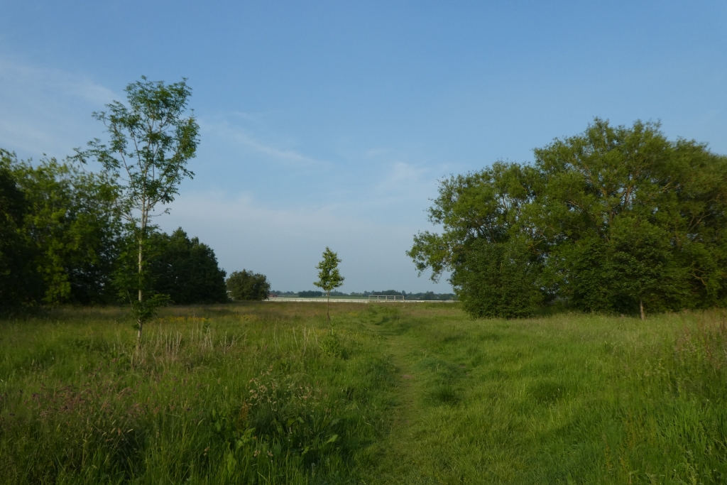 Little Knavesmire