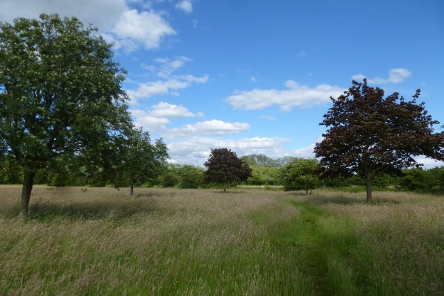 Walmgate Stray