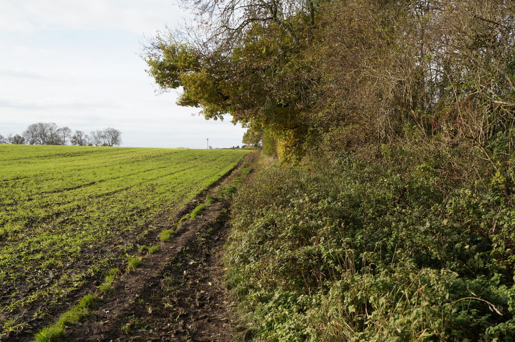The Wier. Landing Lane.