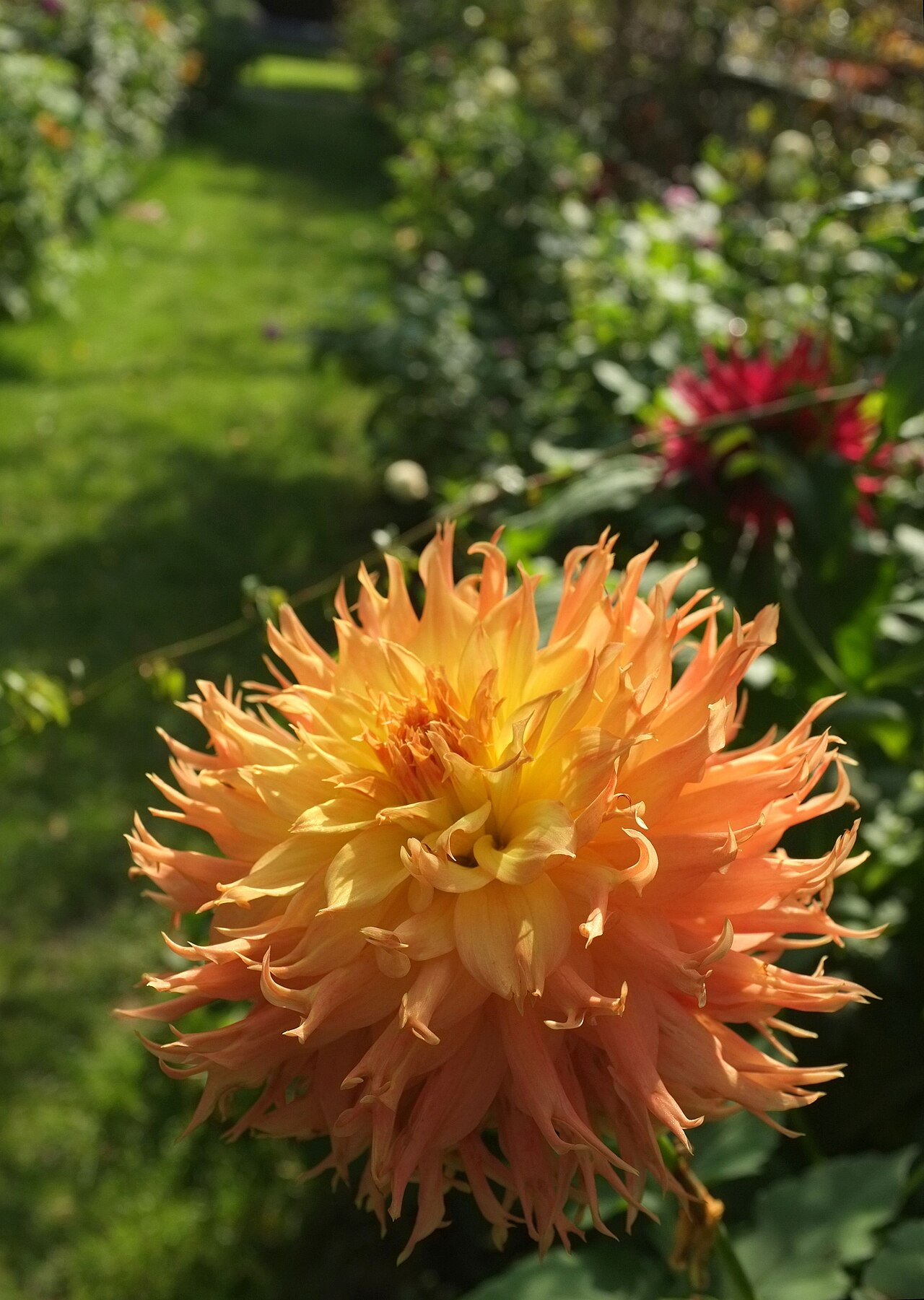 Tessier Gardens