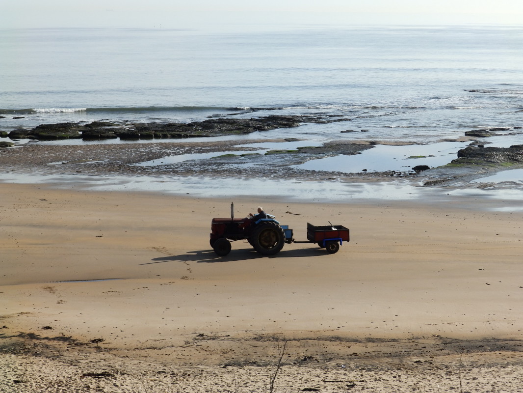 Cresswell Beach