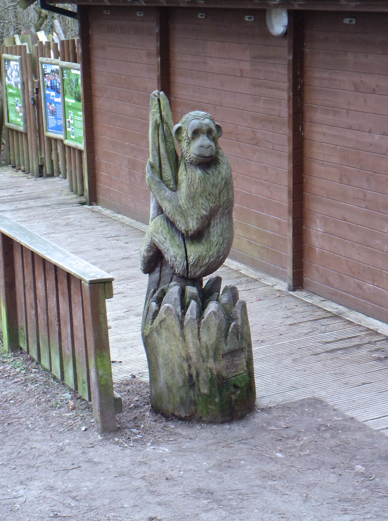 Go Ape Delamere