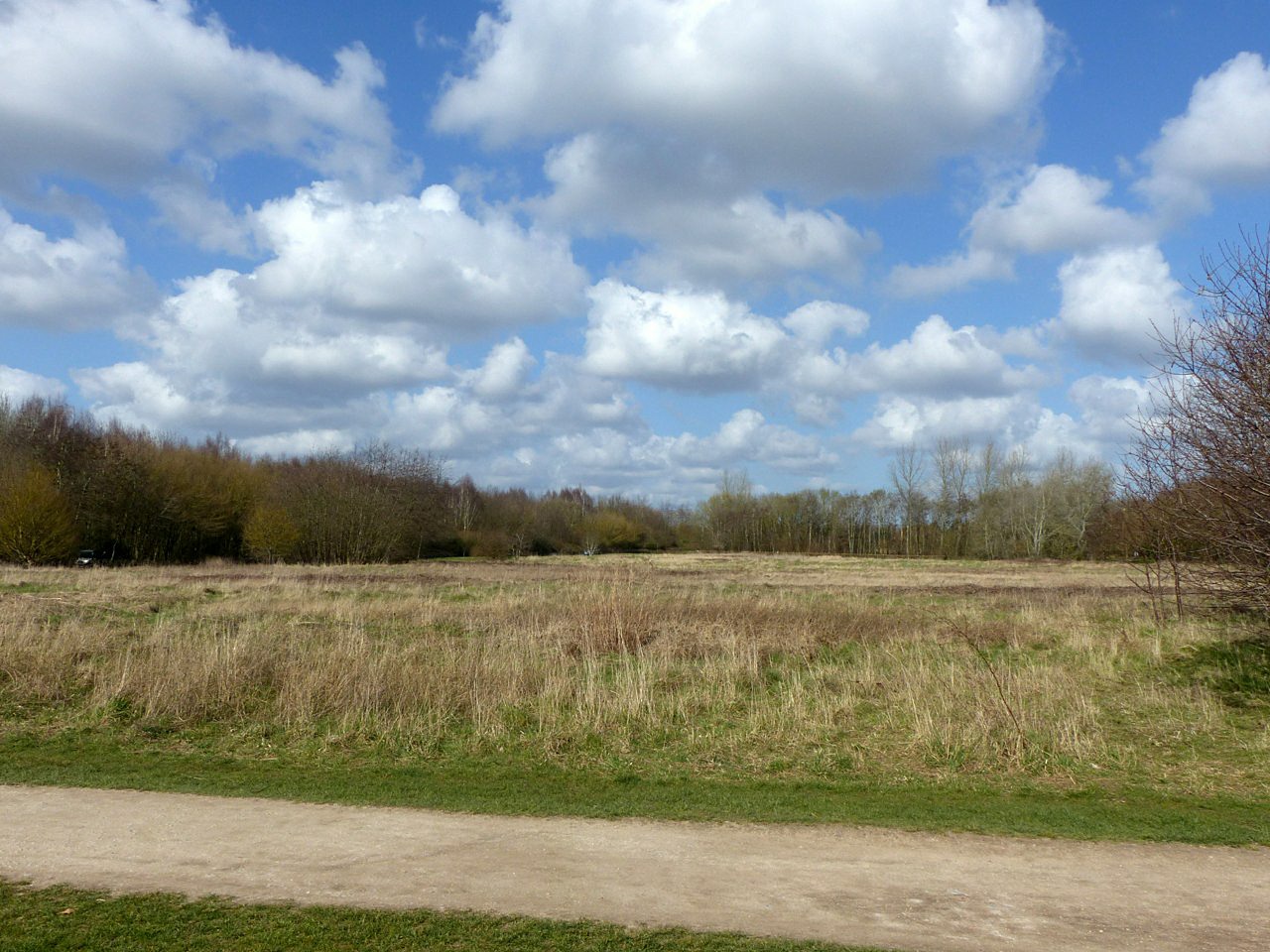 Rushcliffe Country Park Lake