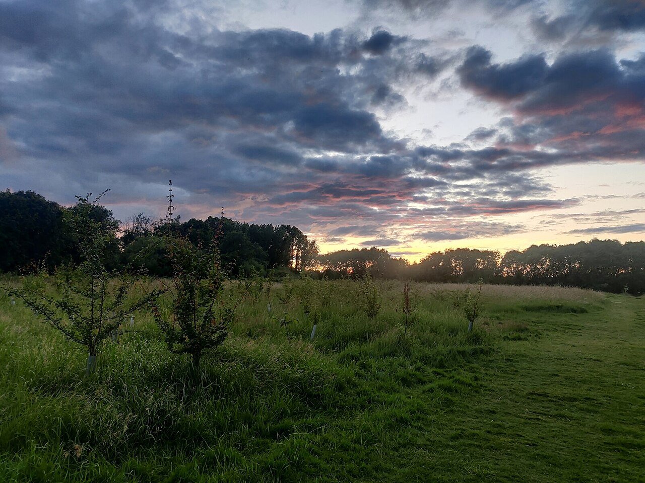 Aylestone Meadows Local Nature Reserve