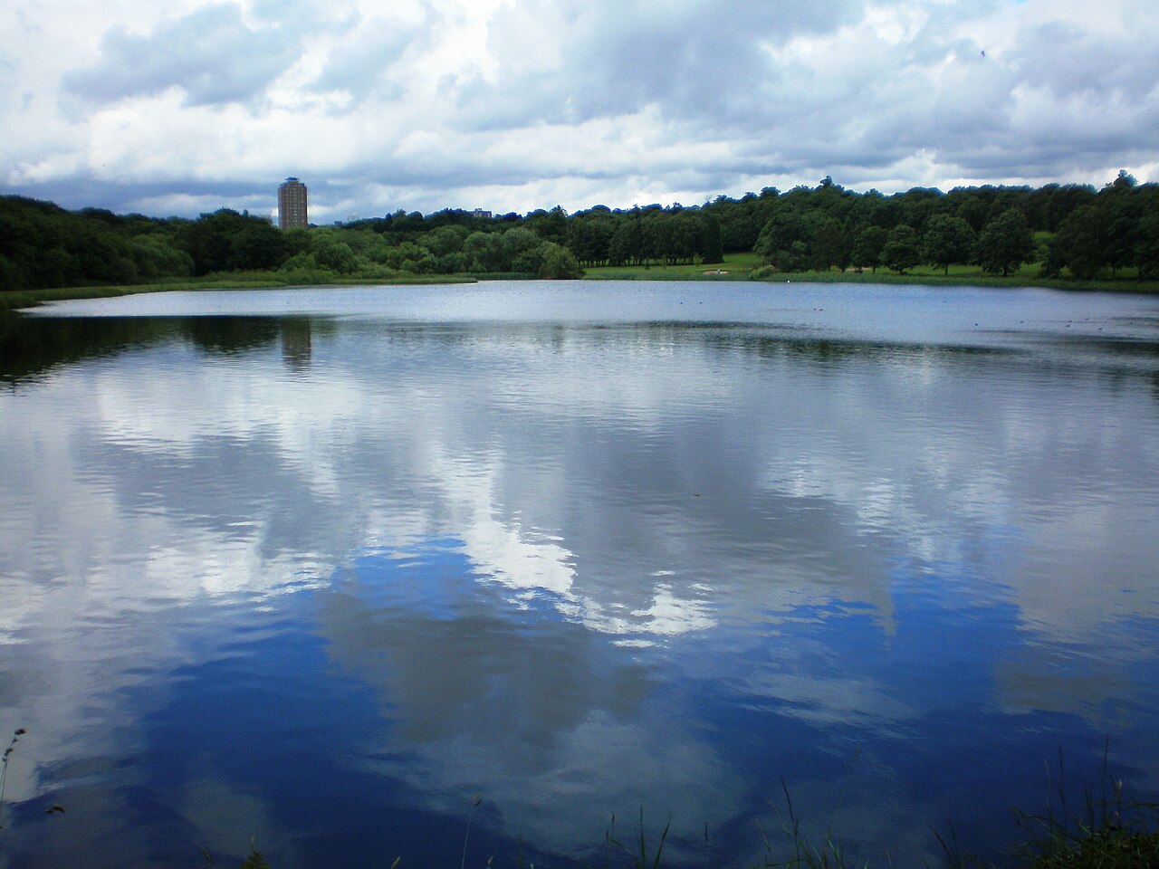Edgbaston Pool