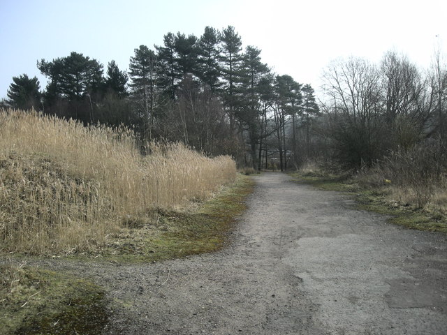 Claybrookes Marsh Nature Reserve