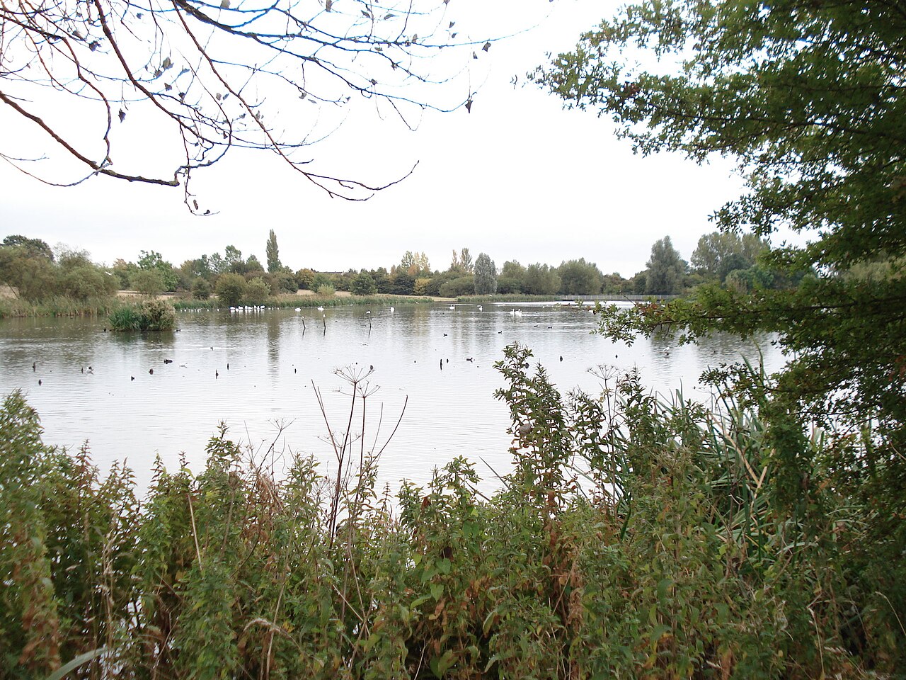 Wyken Pool