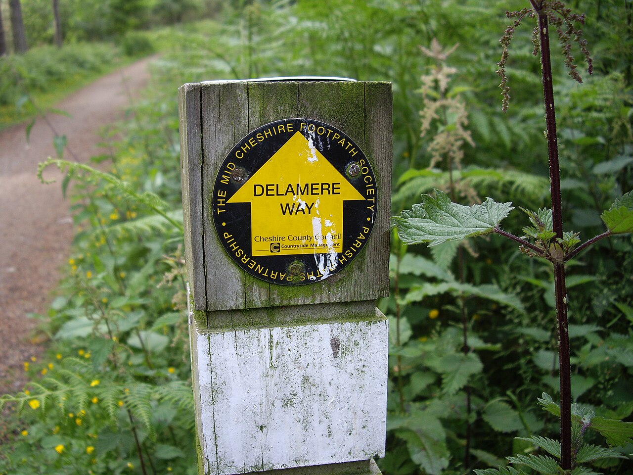 Blake Mere