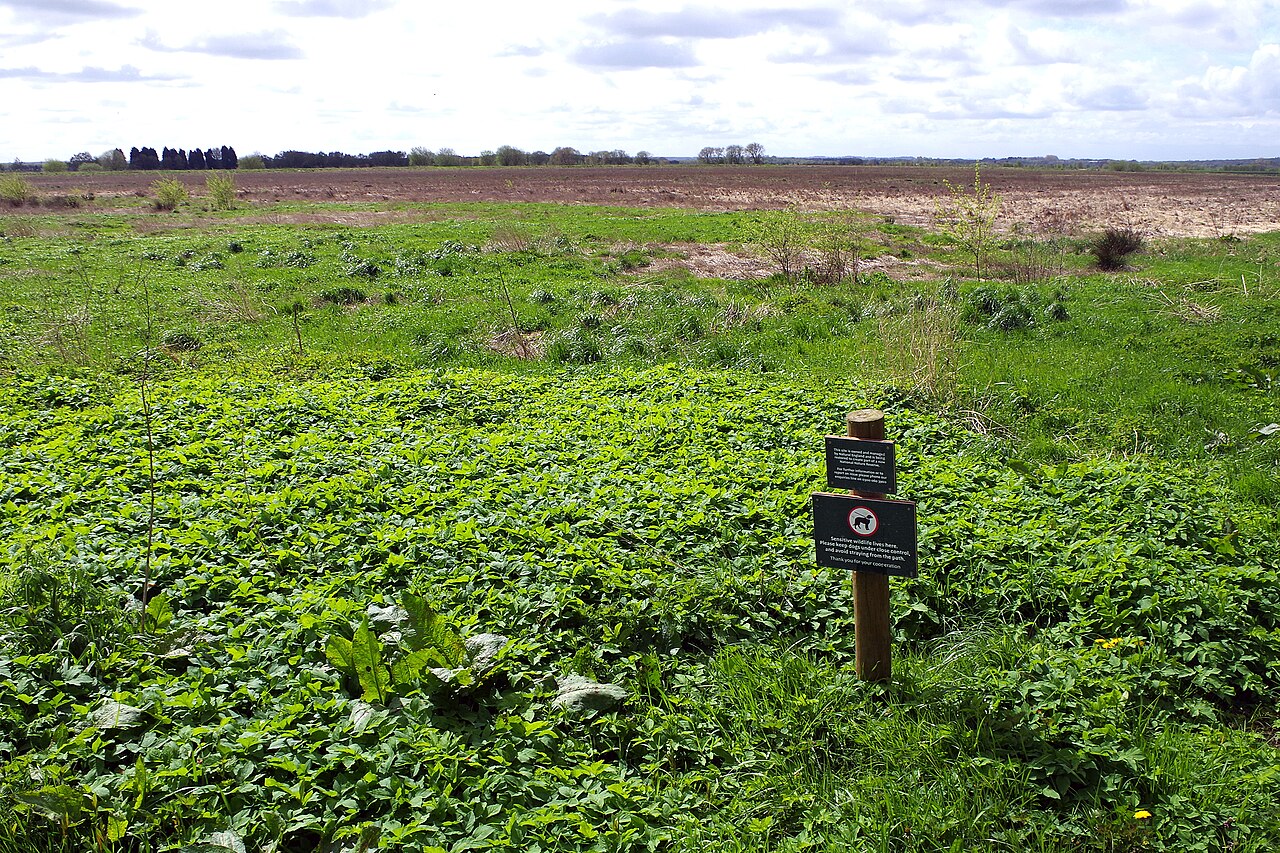 Cadishead and Little Woolden Moss
