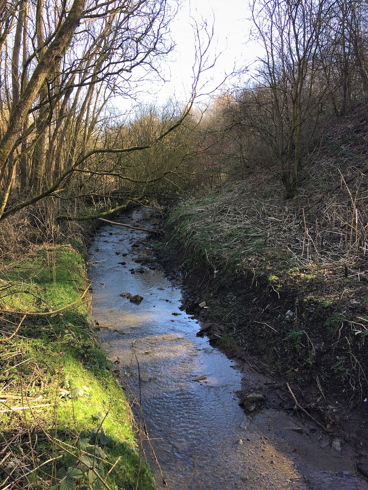 Moston Fairway Nature Reserve