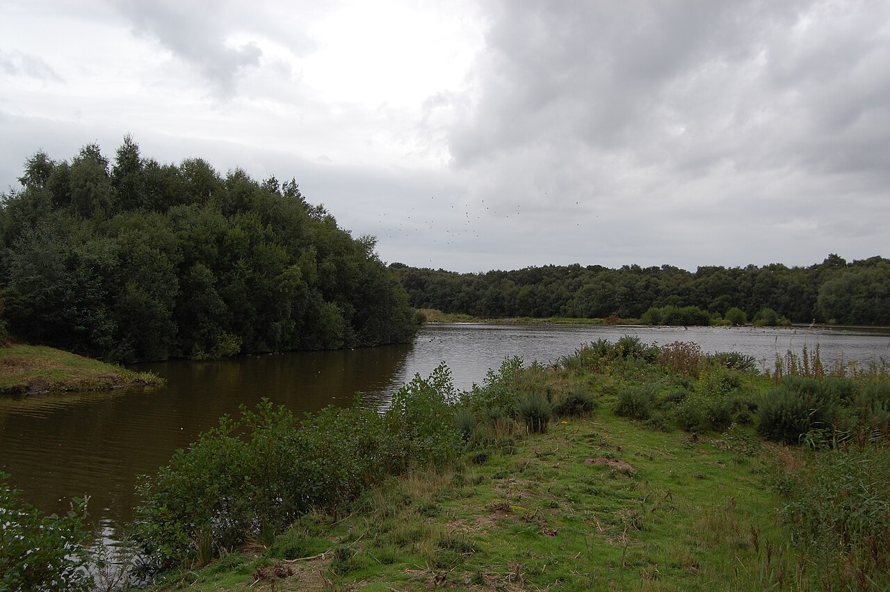 Mere Sands Wood Nature Reserve