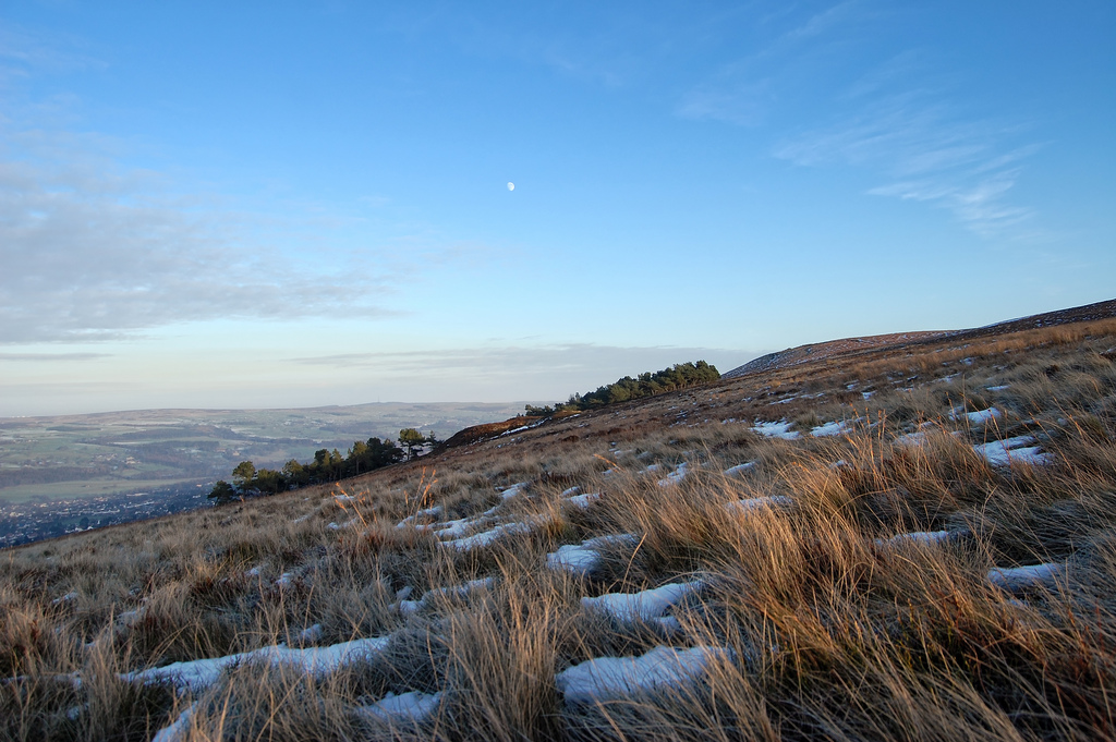 Ilkley Moor