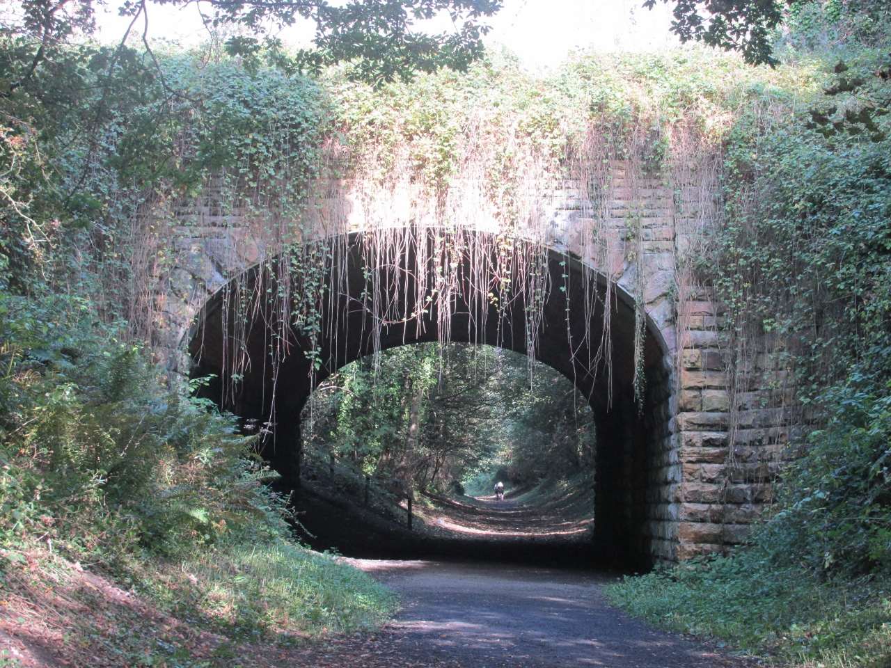 The Cinder Track