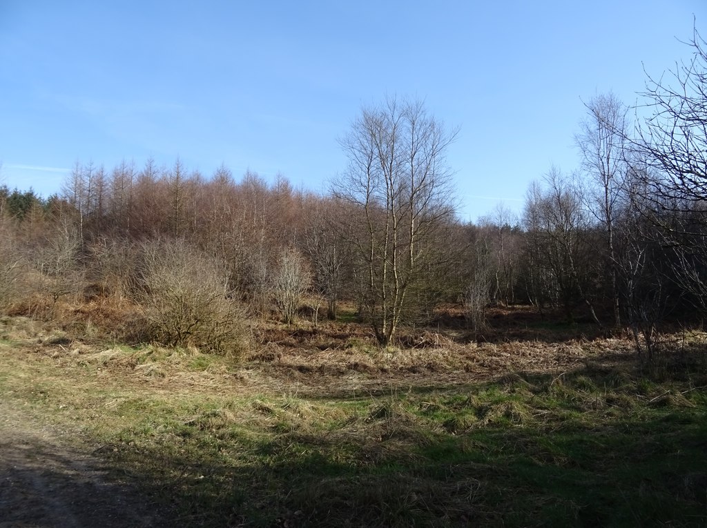 North Riding Forest Park
