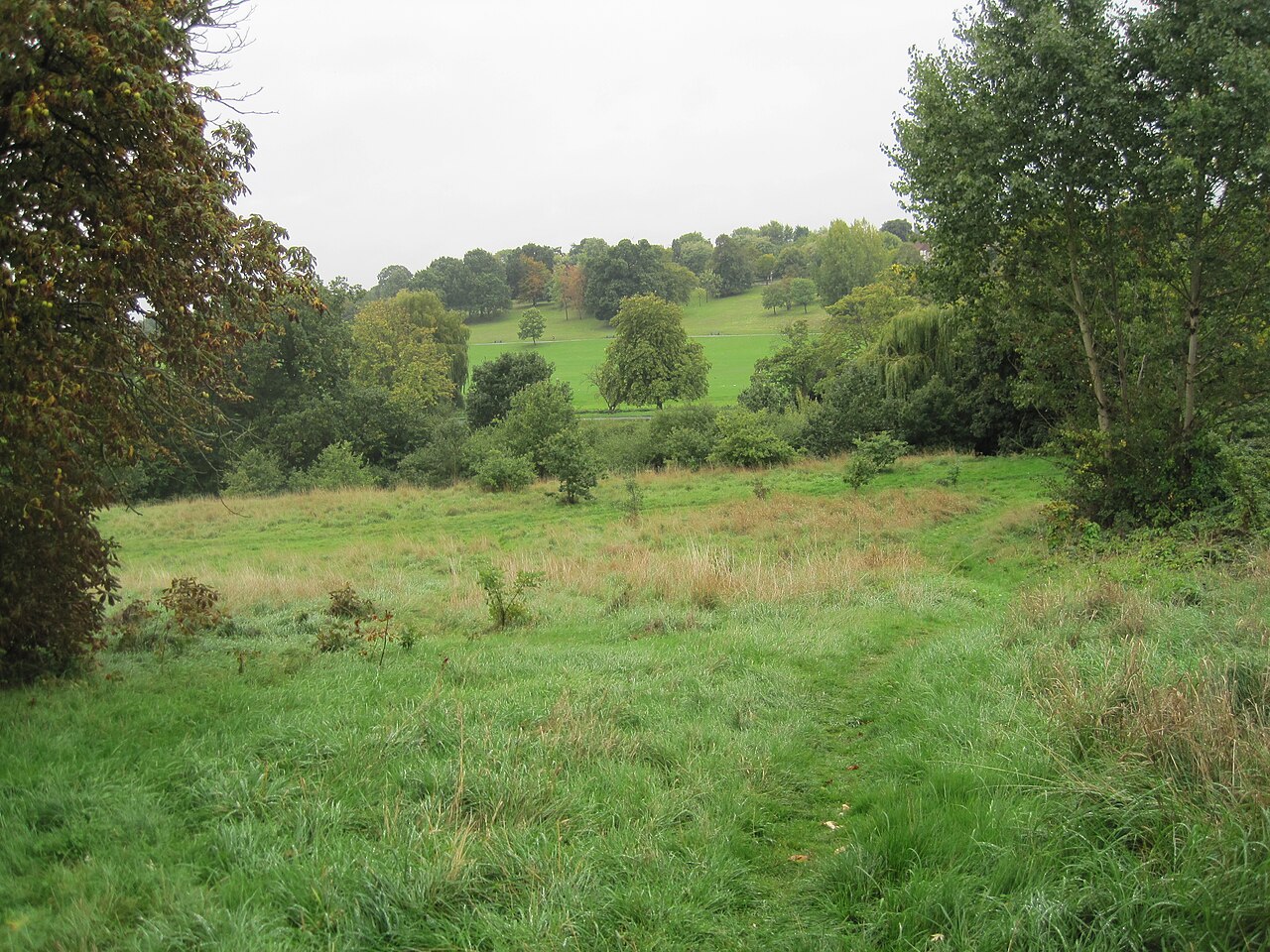 Oak Hill Wood, London Wildlife Trust