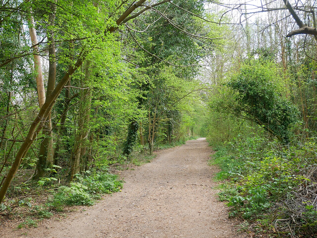 Selsdon Wood Nature Reserve