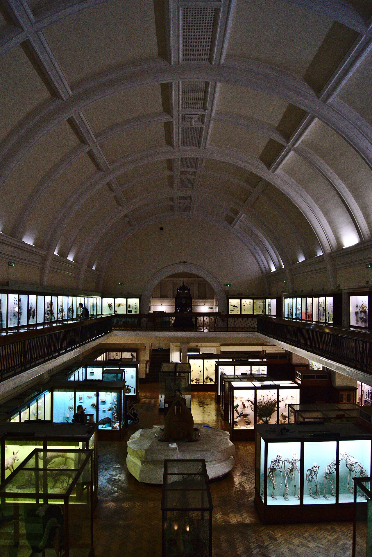 Horniman Nature Trail