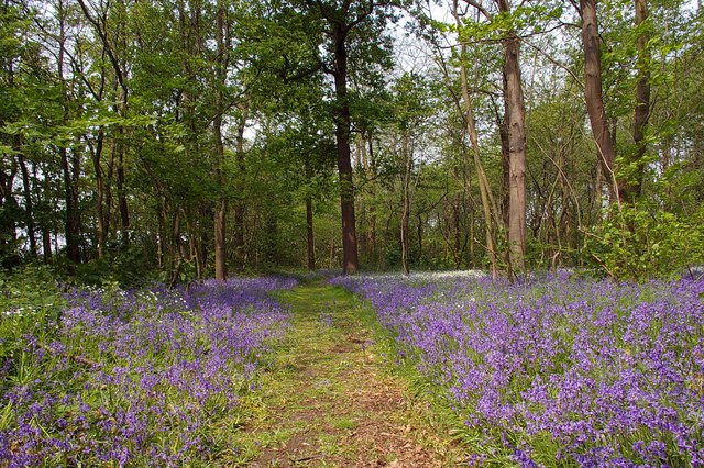 Thames Chase Forest Centre