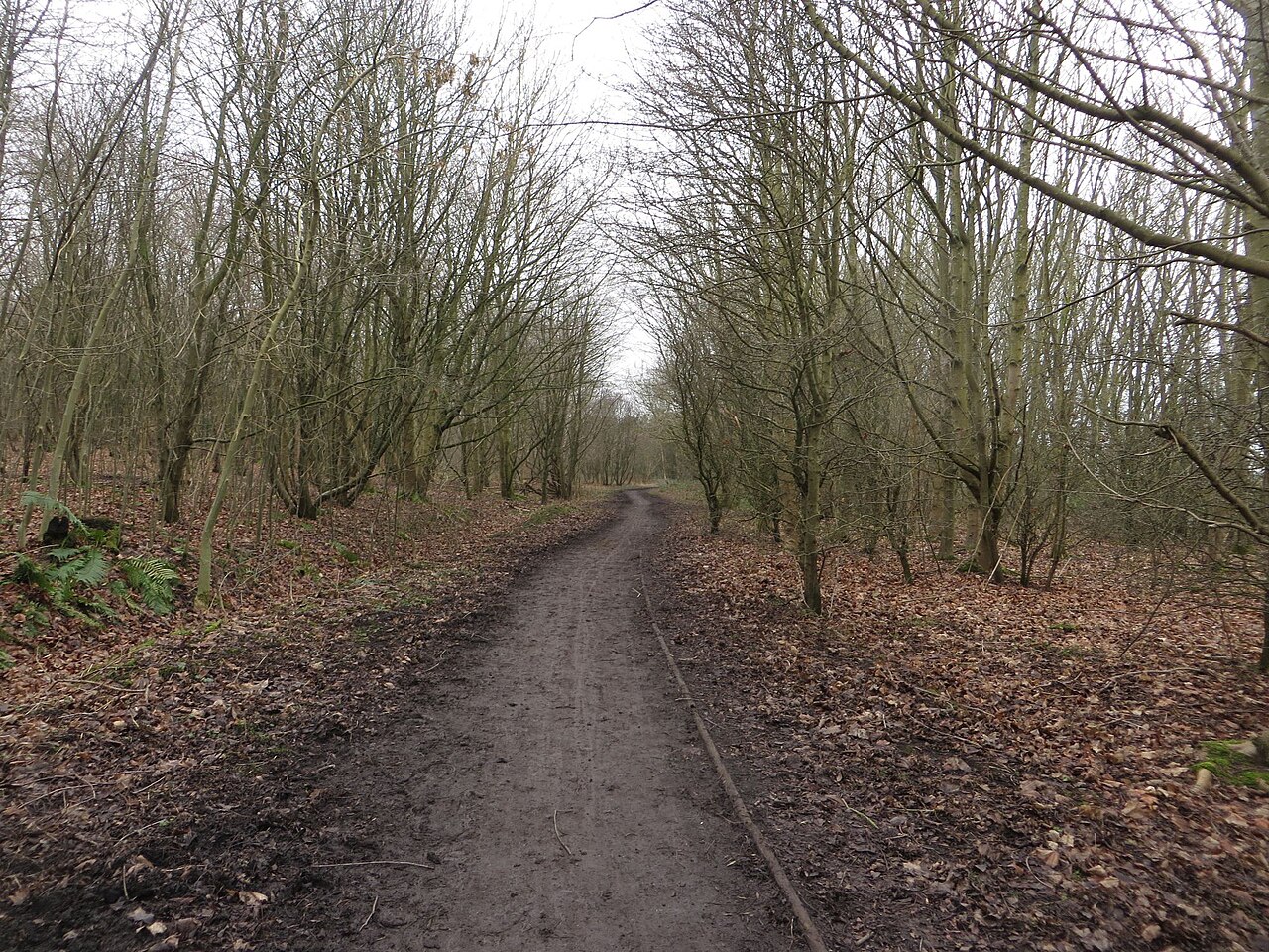 Havannah & Three Hills Nature Reserve - Three Hills Visitor Carpark