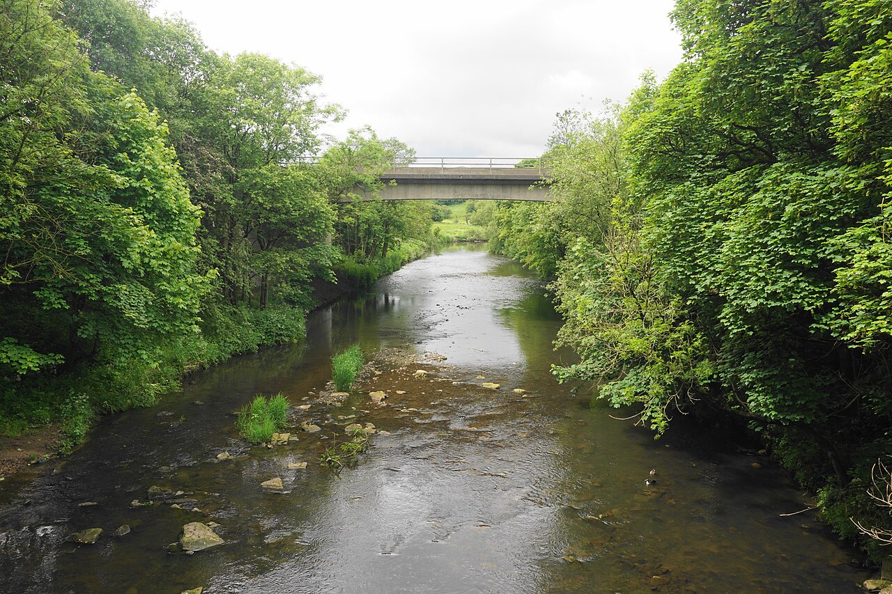Heald Wood