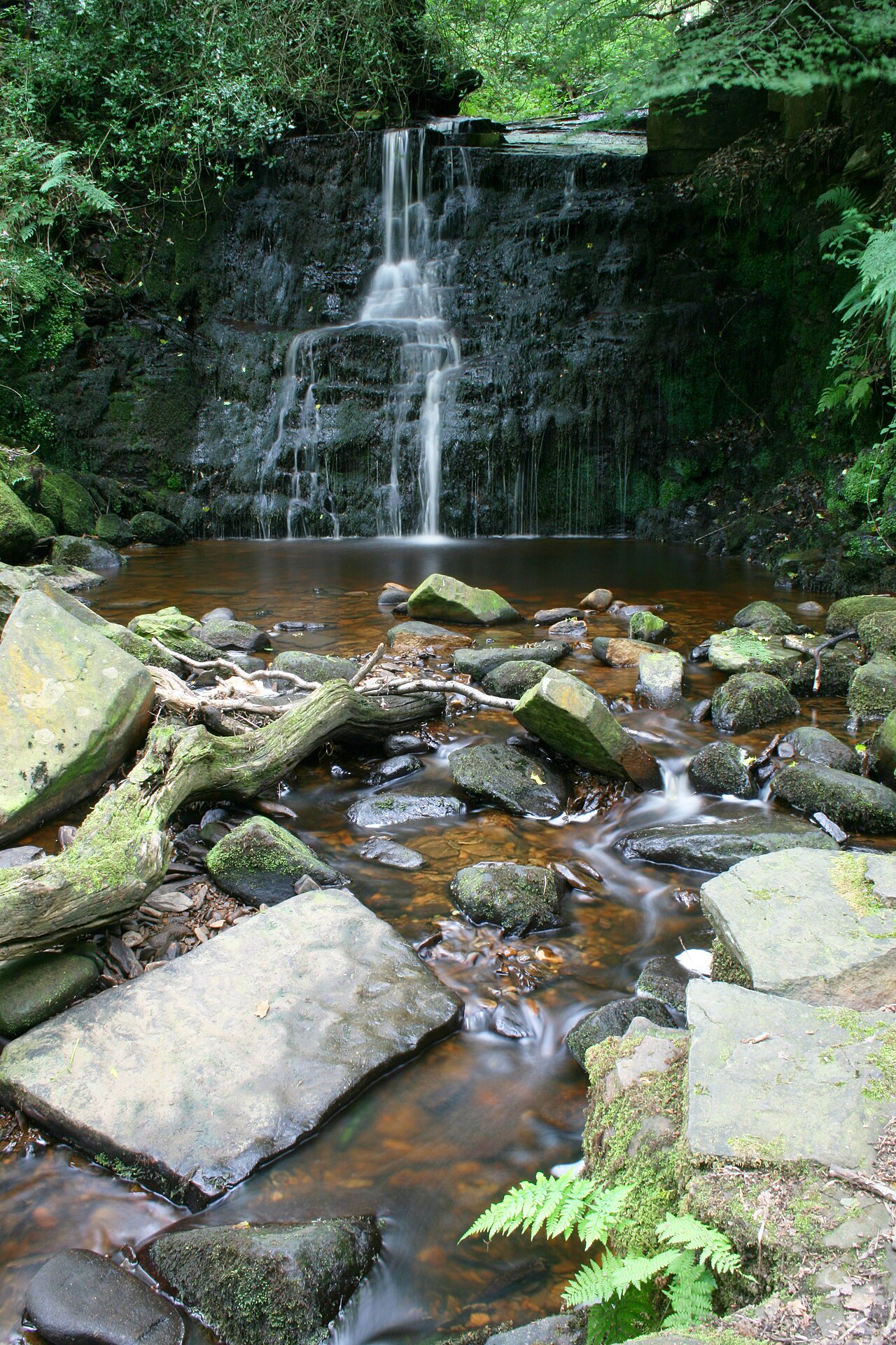 Tigers Clough