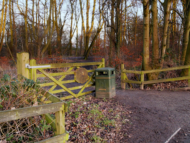 Skitters Wood