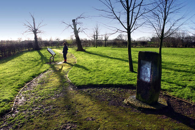 Lewis Carroll Centenary Wood