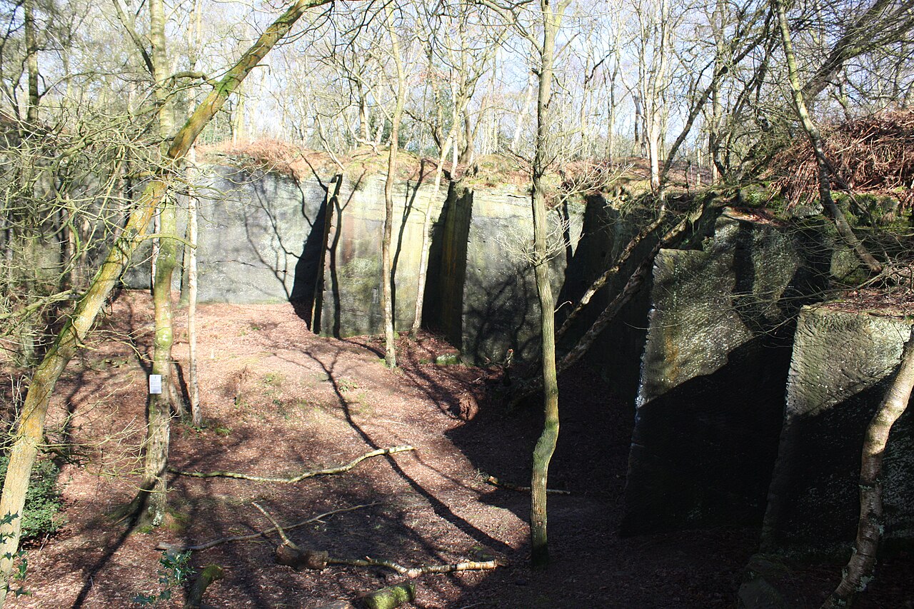 Harmers Wood