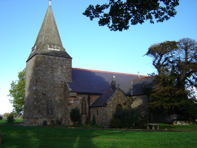 Nercwys Forest