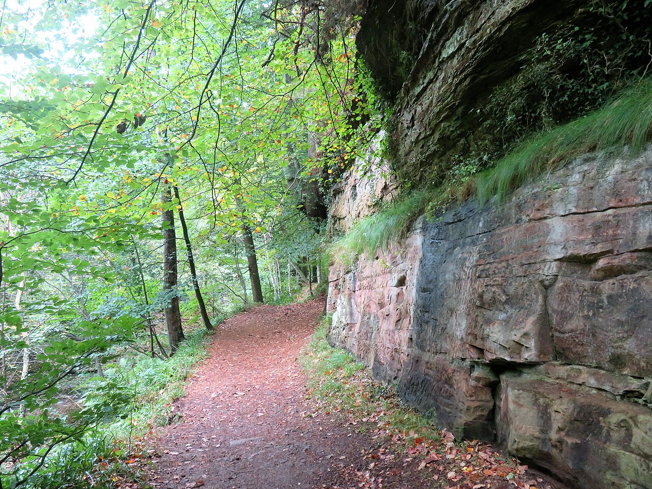 Gelt Woods