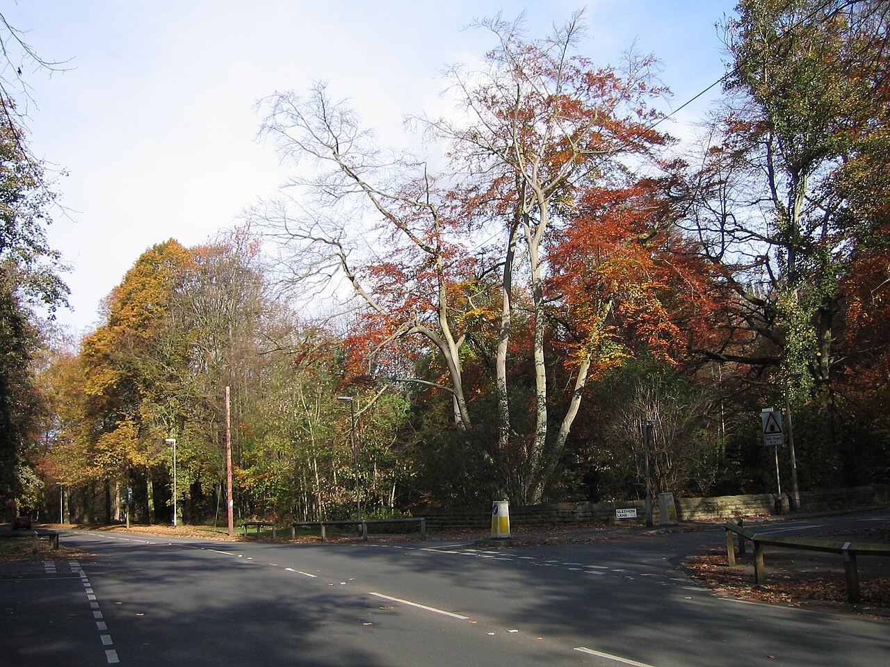 Gledhow Valley Woods