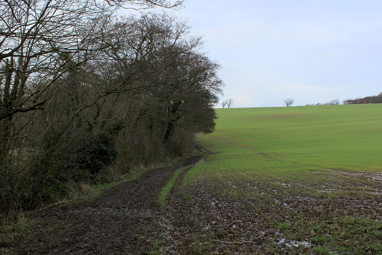 Hetchell Wood Nature Reserve