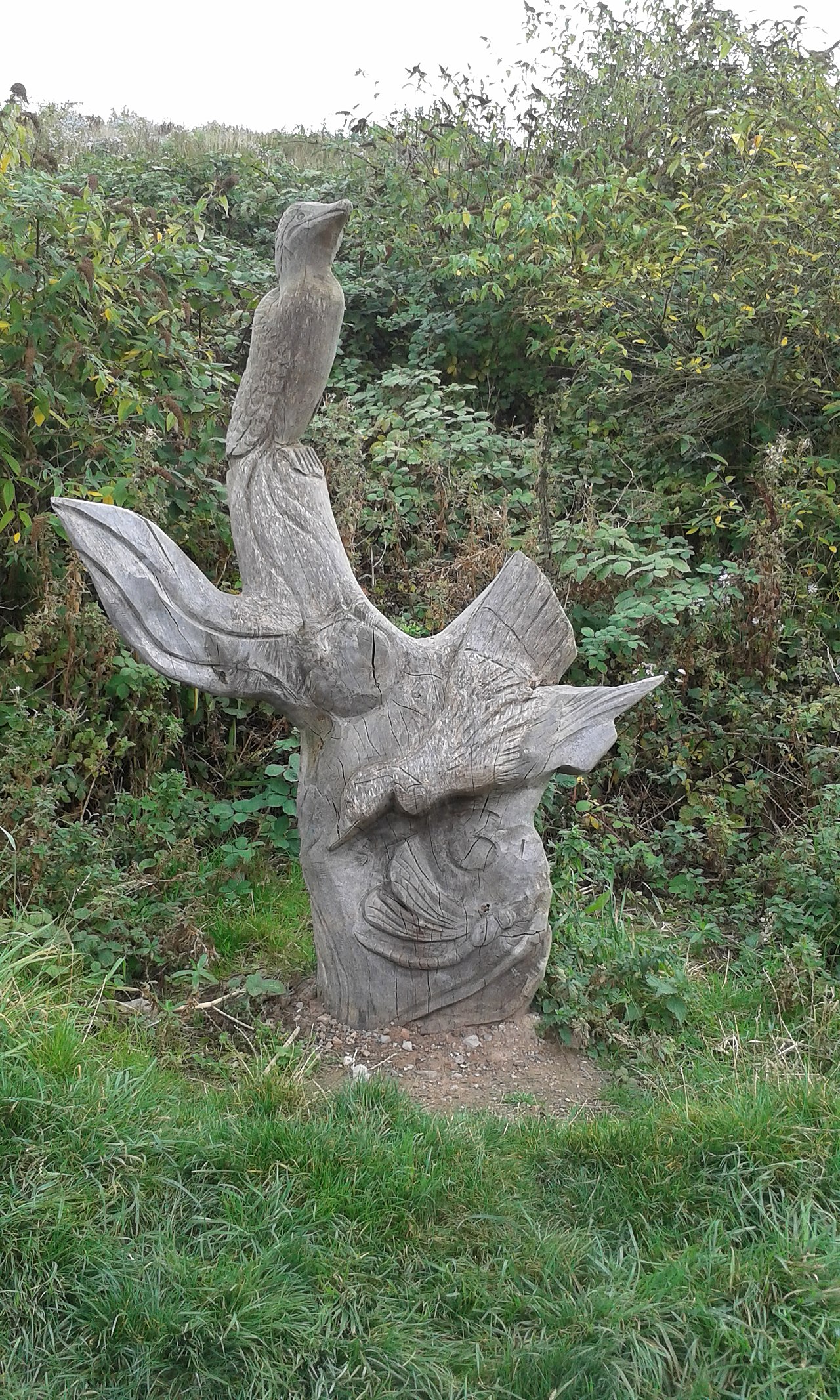 Shorefields Nature Park