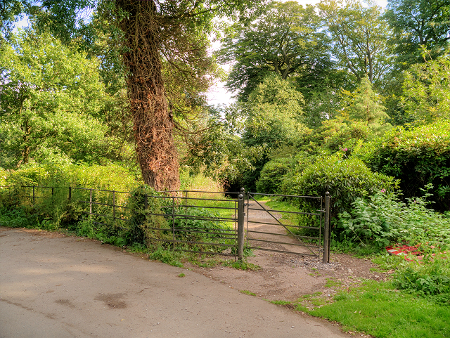 Cuerden Valley Park Picnic Area