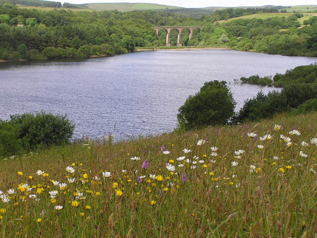 Darwen Moor