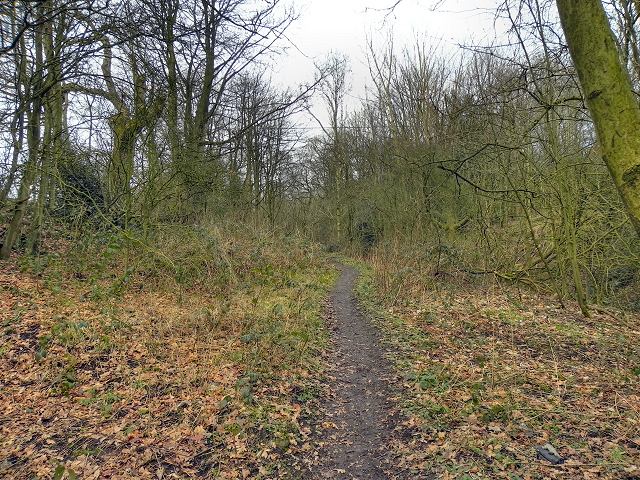 Cunningham Clough Local Nature Reserve