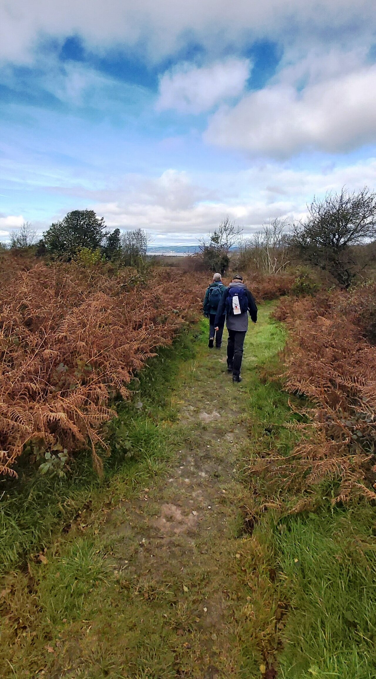 Warton Crag Local Nature Reserve