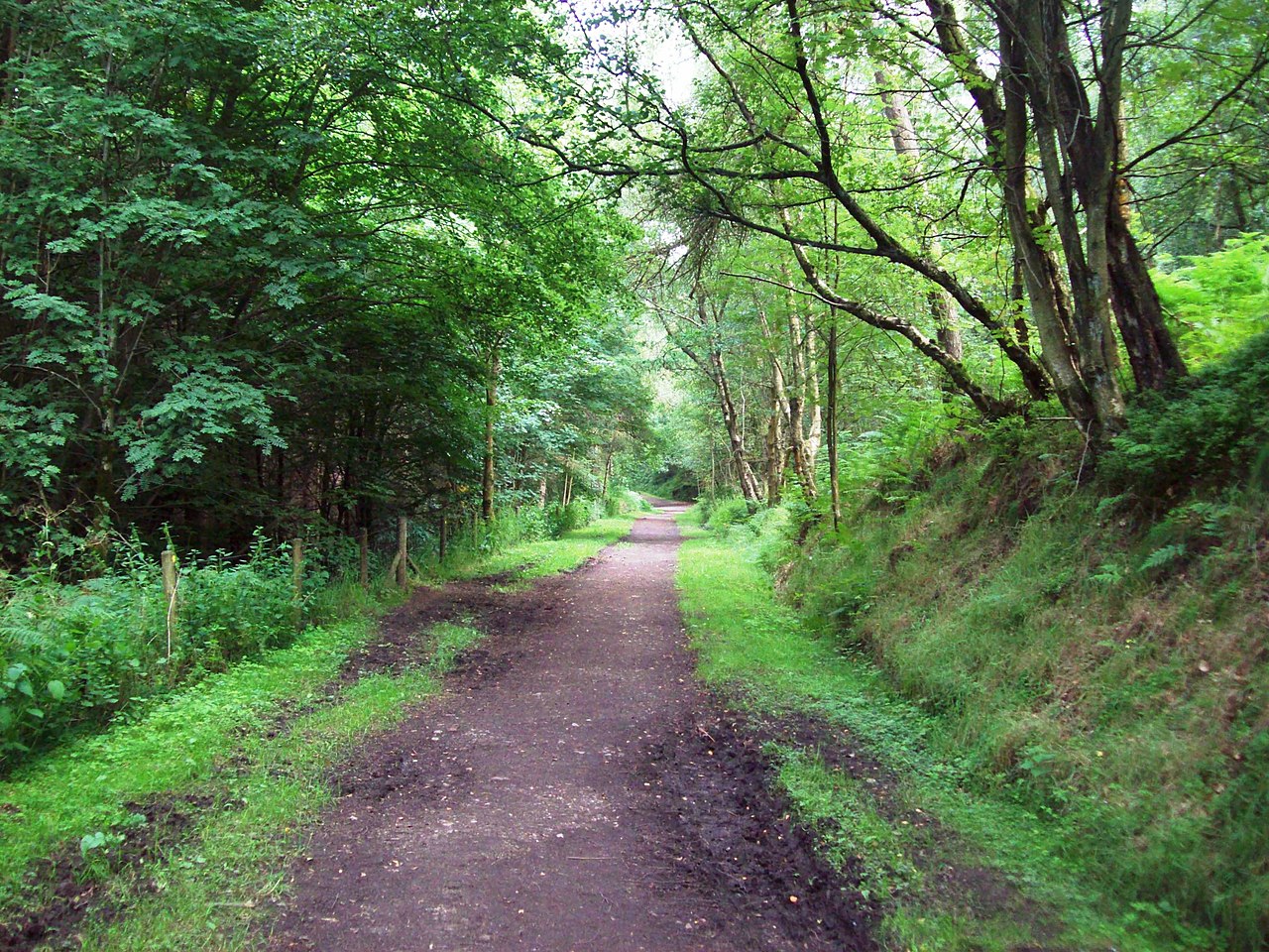Wyming Brook Woodland