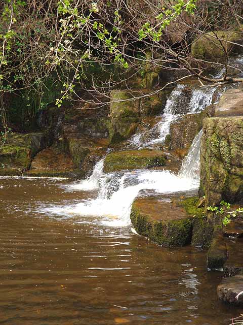 Hareshaw Linn Walk