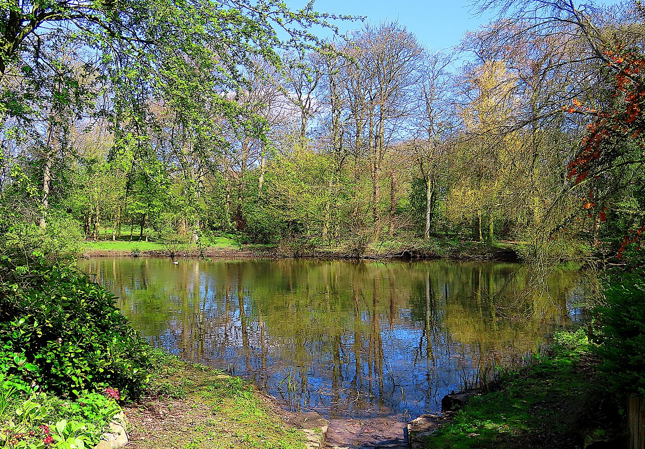 Hackensall Woods Footbridge
