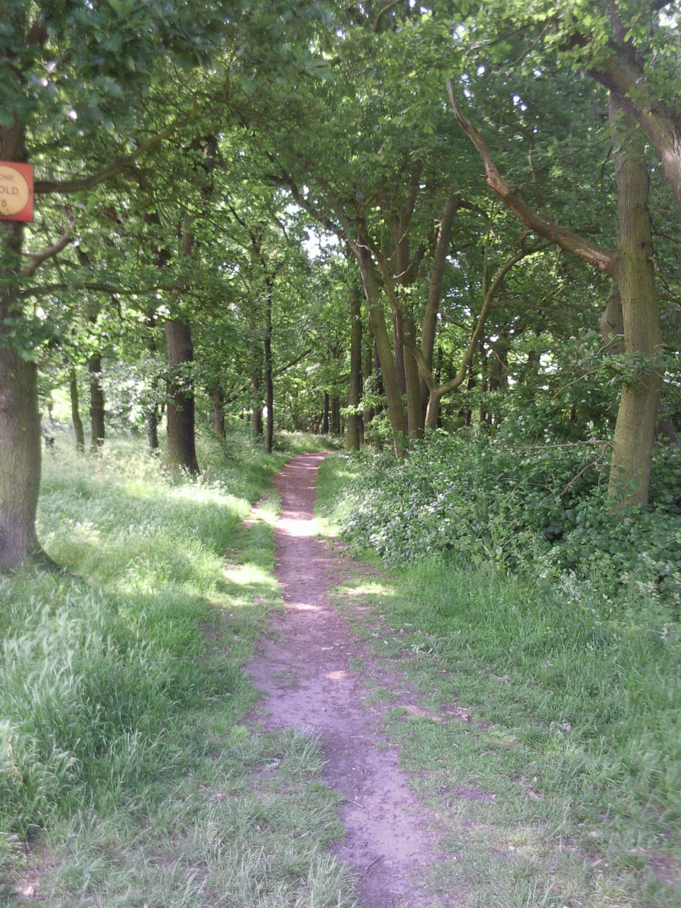 Abbey Wood Experience Freedom Glamping