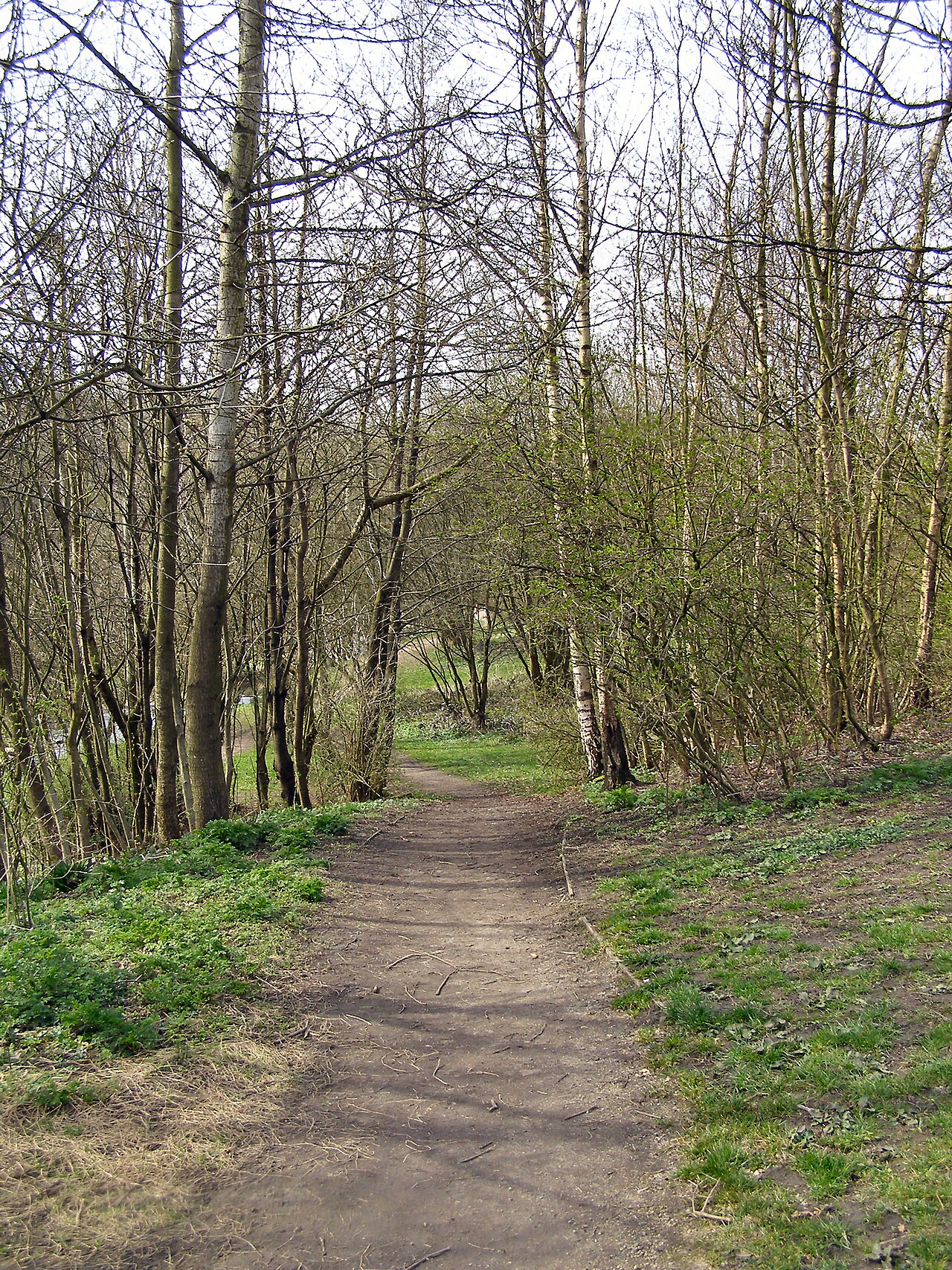 Burrs Country Park Caravan and Motorhome Club Campsite