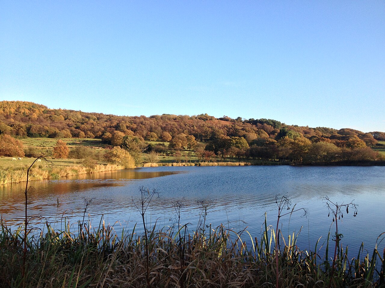 Primrose Cottage Camping Chorley