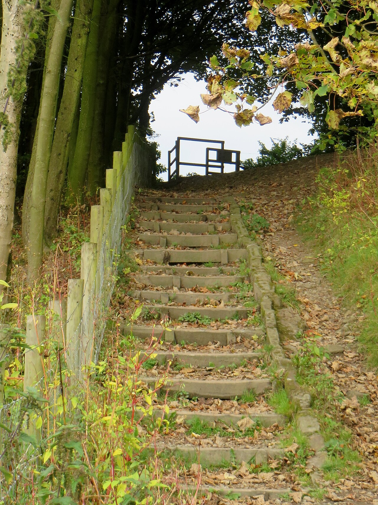 Park Fold Farm