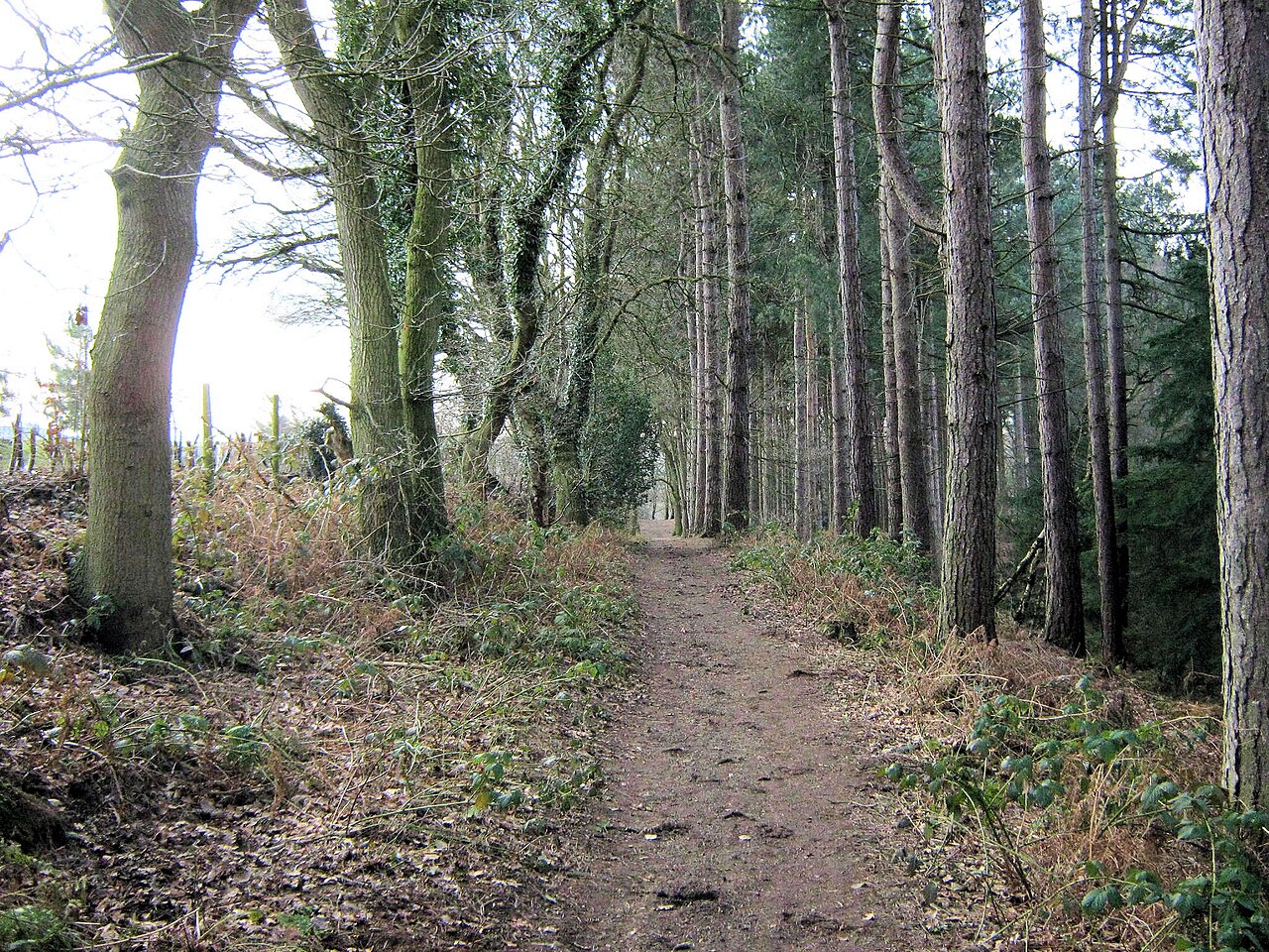 Delamere Forest Camping and Caravanning Club Site