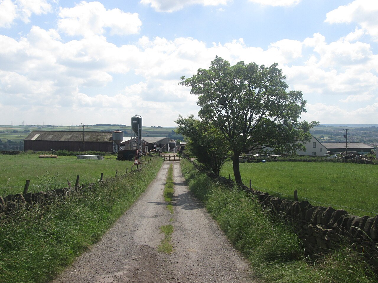 High Lea Farm Camping